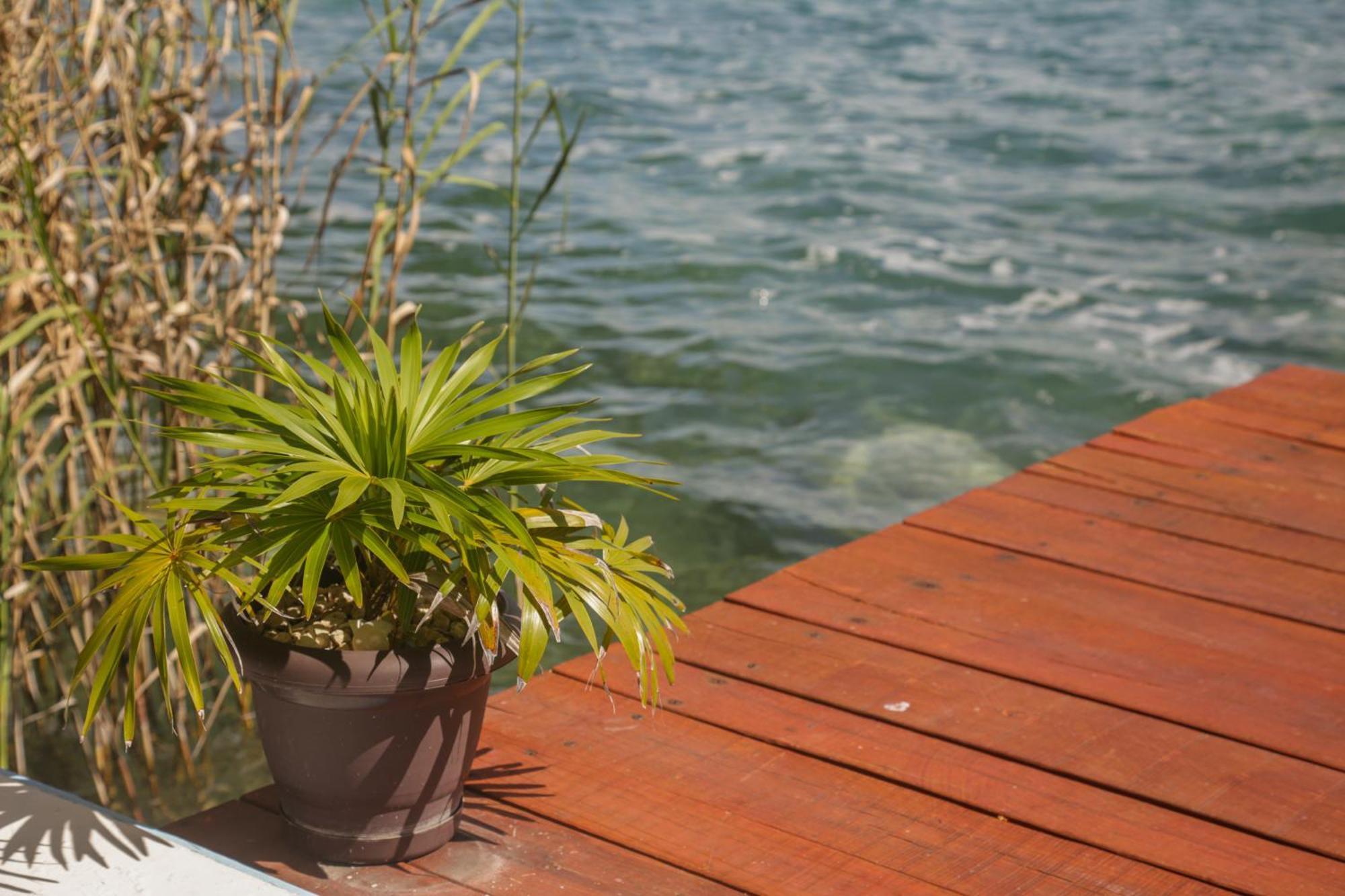 Seven Blue House Village & Lodge Bacalar Exterior foto